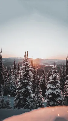 обои tumblr, обои iOS, обои iphone, обои iphone5, обои iphone XS, обои для  iphone 11, обои на айфон… | Iphone wallpaper winter, Pretty landscapes,  Winter wallpaper