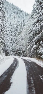 Обои Зима, деревья, снег, дорога 1080x1920 iPhone 8/7/6/6S Plus Изображение