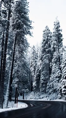 Скачать 938x1668 зима, дорога, деревья, снег, поворот обои, картинки iphone  8/7/6s/6 for parallax