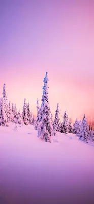 Обои Зима, дом, деревья, снег, холод 1080x1920 iPhone 8/7/6/6S Plus  Изображение