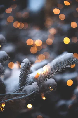 Зима: красивые картинки на телефон. 99 изображений | Пейзажи, Зима, Природа