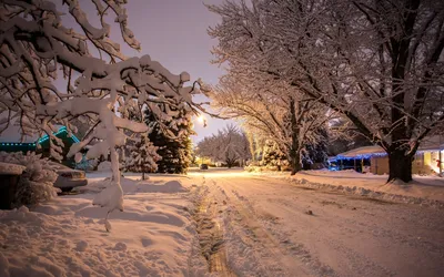 зима снежинки природа фон, зима, растение, натуральный фон картинки и Фото  для бесплатной загрузки