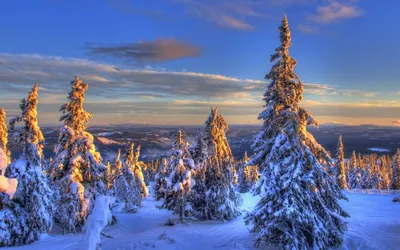 Скачать обои зима, машина, снег, деревья, природа, фон, новый год, вечер,  раздел природа в разрешении 1920x1200