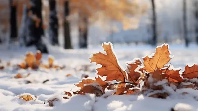 Эксперт рассказал, когда ляжет снег в Татарстане и какой будет предстоящая  зима