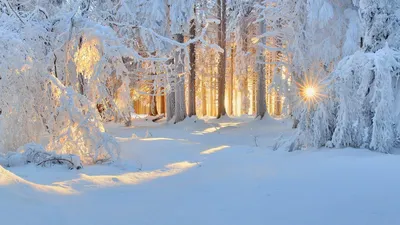 Зима красавица картинки