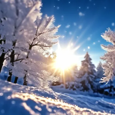 Подведены итоги фотоконкурса «Зима-красавица» — РОДНАЯ ЗЕМЛЯ