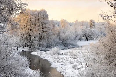 Зимняя красавица - красивые фото