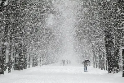Бесплатное изображение: плохая погода, снег, Шторм, дом, берег реки,  Коттедж, Метель, зима, холод, пейзаж