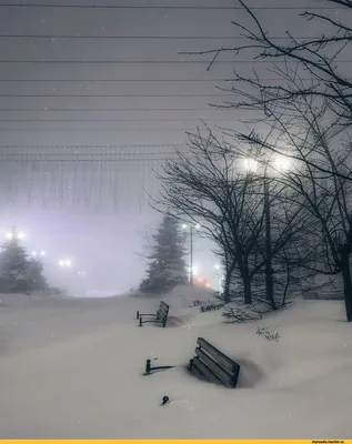 Опасная зима в США: самые смертоносные метели в истории страны - ForumDaily