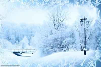 Скачать обои зима, мороз, узоры, деревья бесплатно для рабочего стола в  разрешении 5616x3744 — картинка … | Winter background, Winter landscape,  Winter backdrops
