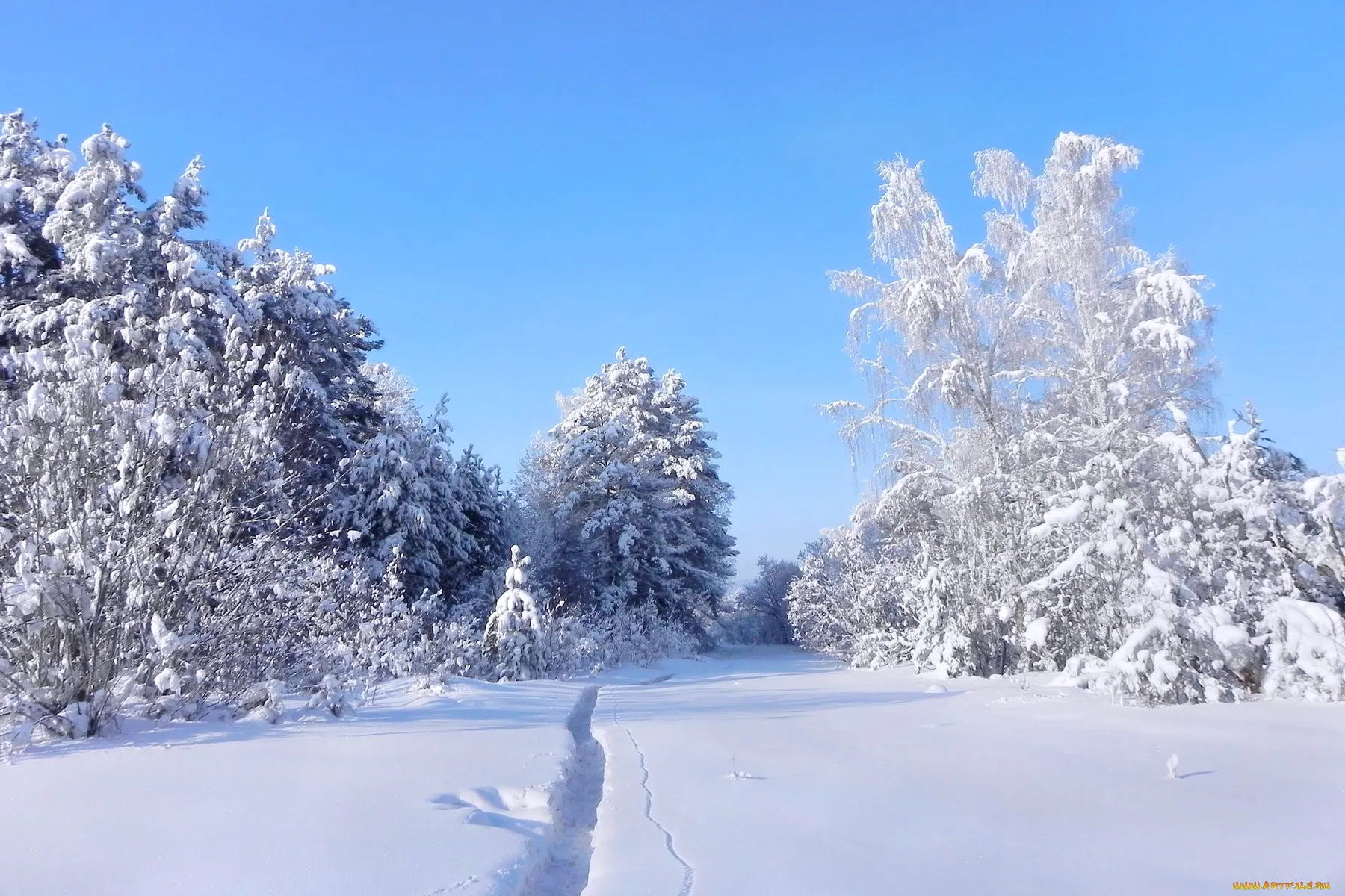Зимняя природа. Зима пейзаж. Красивые зимние пейзажи природы. Русская природа зимой.