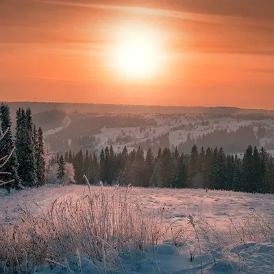 Мороз и солнце, день чудесный!. Фотограф Ольга Бабушкина