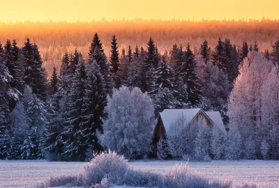 Обои дорога, зима, мороз, дерево, снег, природа на рабочий стол