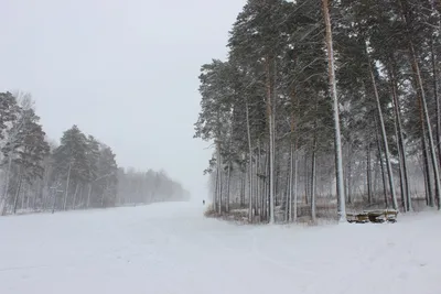 Зима началась — Фото №15903