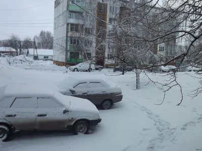 Погода в Иркутске: синоптики рассказали, какой будет погода в первых числах  ноября - 30 октября 2023 - ircity.ru