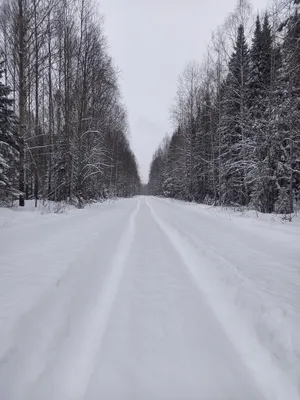 Белая зима началась внезапно