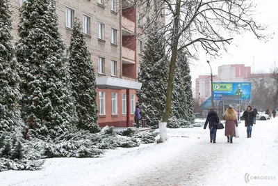 Почему зима в Калуге началась так рано - Статьи, аналитика, репортажи -  Новости - Калужский перекресток Калуга