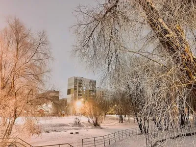 Зима началась в ноябре :: Игорь Сикорский – Социальная сеть ФотоКто