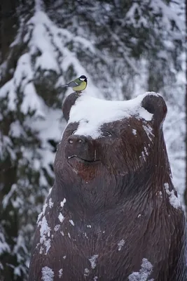 Виктория - Зима наконец-то началась!❄️🥳🥳🥳 #зима #отдых... | Facebook