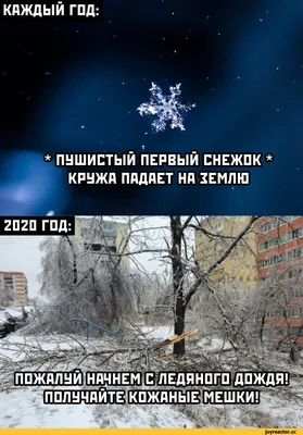 Поздравления с первым днем зимы 2023 – лучшие картинки, открытки и  поздравления