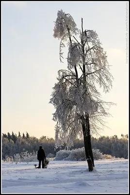 Зима продолжается. За окном январь еще...: erofotos — LiveJournal