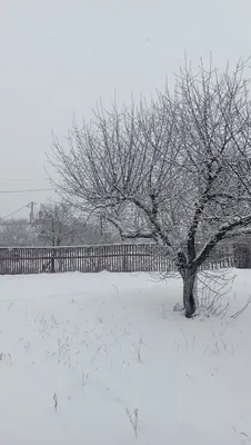 Окружающий мир в фото и видео | Зима продолжается 🙂❄❄❄ | Дзен