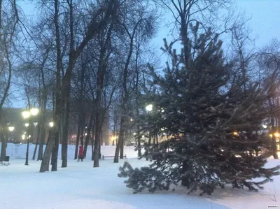 23 отметок «Нравится», 0 комментариев — Photography (@selinieli) в  Instagram: «Зима продолжается. Во всяком случае, на северо-западе  еверо-западе ст… | Зима, Страна