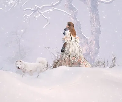 зима снежный лес мультфильм рисованной плакат Фон Обои Изображение для  бесплатной загрузки - Pngtree