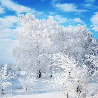 Красавица Зима, традиционный русский …» — создано в Шедевруме