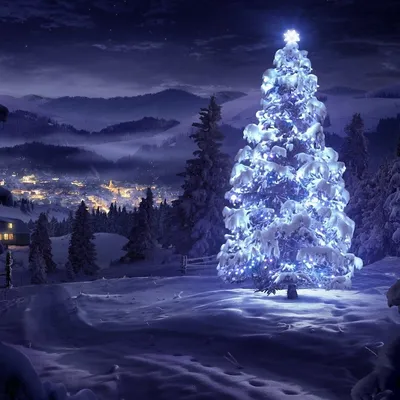 Вкусное Рождество. Самые лучшие рецепты. Волшебные сказки зимы купить с  доставкой в интернет-магазине | janzenshop.de