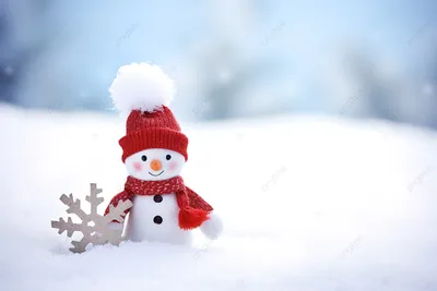 White Christmas: в каких штатах погода в Рождество будет напоминать зимнюю  сказку - ForumDaily