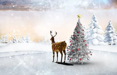 Рождество-2023: новые красивые открытки для верующих с поздравлениями |  СИБ.ФМ | Дзен