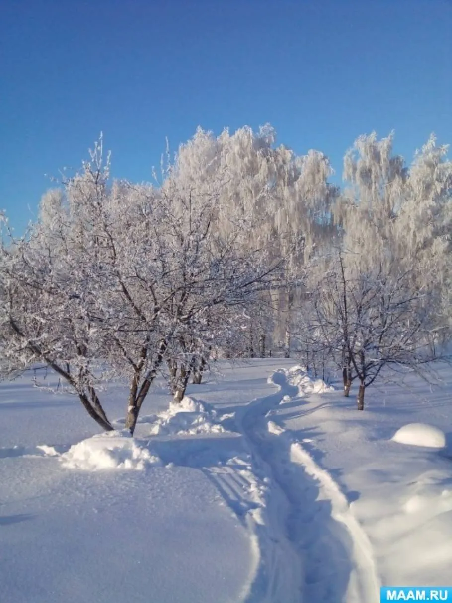 Картинка зимняя сказка