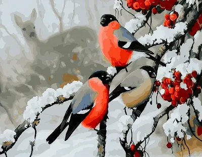 Купить живопись по номерам ВанГогВоМне Снегири зимой 40x50, цены на  Мегамаркет | Артикул: 600001086967