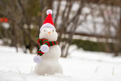 Снеговик зимой Фон И картинка для бесплатной загрузки - Pngtree