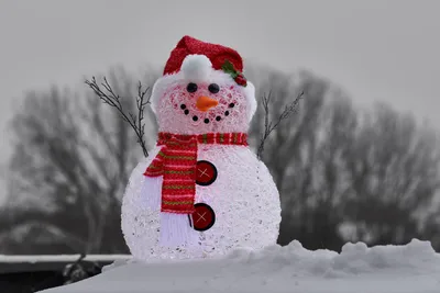 Снеговик зимой в шапке | Премиум Фото