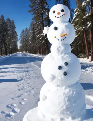 Фотографии девочка мальчик ребёнок Зима Шапки снега снеговик