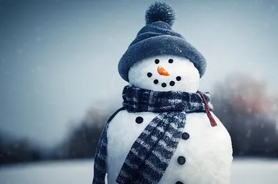 Добельские снеговики — снежные бабы, королевы и джентльмены — прощаются до  будущей зимы / Статья