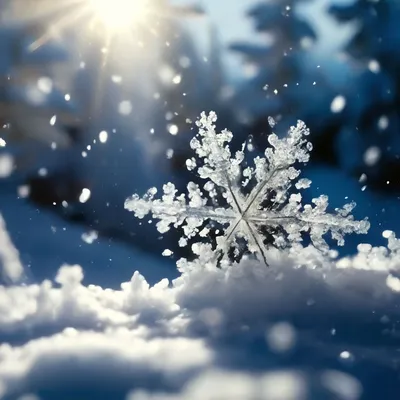 Снег, зима , снежинки , эстетично, …» — создано в Шедевруме