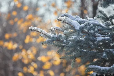 Зима в России - 75 фото