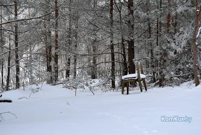 Зима вернулась в Калужскую область - Погода - Новости - Калужский  перекресток Калуга