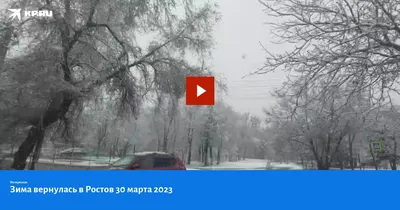 Зима вернулась картинки 67 фото