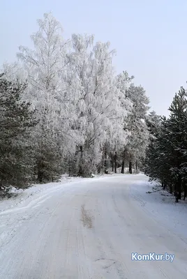 В Петербург вернулась зима, выпал снег - 27 марта 2023 - Фонтанка.Ру