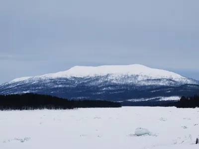 Снежная зима вернулась в Зельву (фоторепортаж) — ПРАЦА