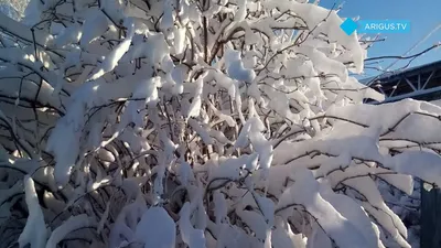 Зима вернулась в Могилев - YouTube