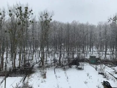 В Мурманскую область вернулась зима | Телекомпания ТВ21