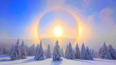 Зимнее солнцестояние 22 декабря 2023 года. Ритуалы. | Alme Bossi | Дзен