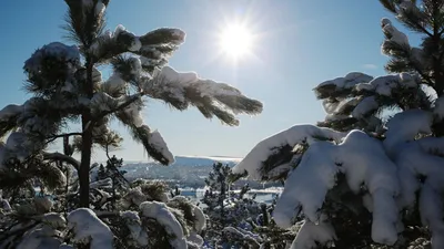 Зимнее солнцестояние 2021 - поздравления и открытки с праздником 21 декабря  - Телеграф