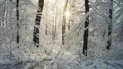 Путь к Себе - ☀️Зимнее солнцестояние☀️ ⠀ ➡️ 22 декабря ⬅️ ⠀ Это начало  астрономической зимы. Самый короткий день и самая длинная ночь в году. ⠀  ✨Этот день, в преддверии зимних праздников,