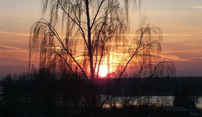 Зимнее солнцестояние картинки фотографии